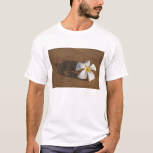Camiseta Plumeria em praia arenosa, Maui, Havaí, EUA