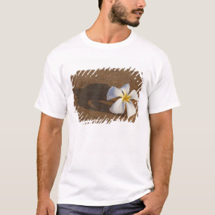 Camiseta Plumeria em praia arenosa, Maui, Havaí, EUA
