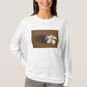 Camiseta Plumeria em praia arenosa, Maui, Havaí, EUA