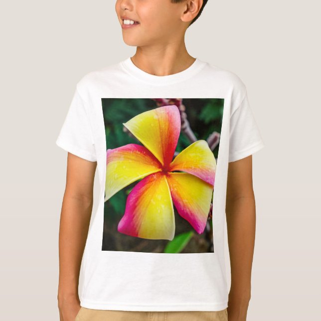 Camiseta Plumeria rubra (Frente)