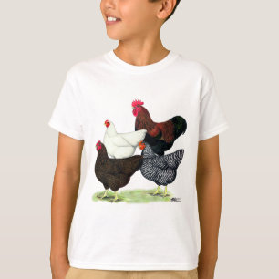 Camiseta Plymouth Rock Quartet