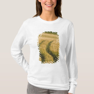 Camiseta Pneus de tratores através do trigo, Toscana, Itáli