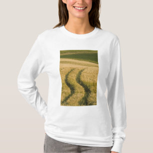 Camiseta Pneus de tratores através do trigo, Toscana, Itáli