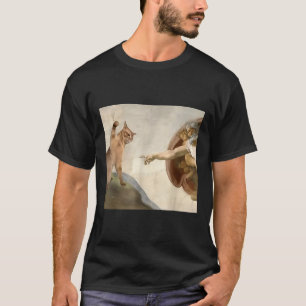Camiseta Poço Todo Poderoso, Engraçado Gato Criação De Deus