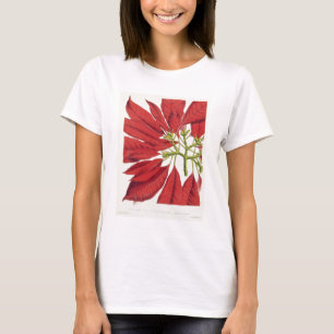 Camiseta Poinsétia Pulcherrima (litho da cor)