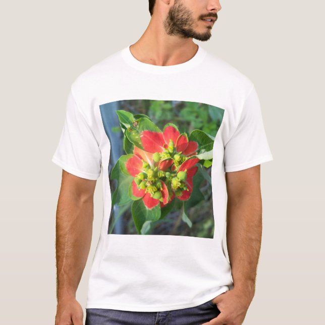 Camiseta poinsétia selvagem (Frente)