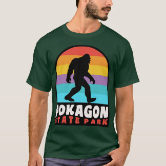 Camiseta Pokagon State Park Indiana Retro Sunset