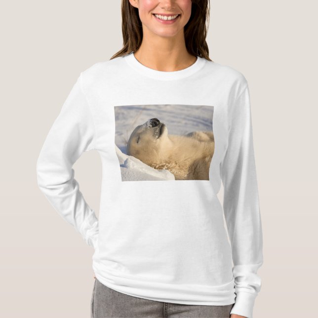 Camiseta Polar Bear Nap (Frente)