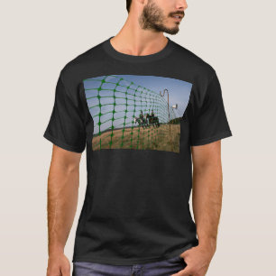 Camiseta Polícia Montada Neerlandesa Em Cavalos.