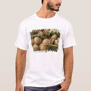 Camiseta Polinésia, Reino de Tonga. Exposição de cocos