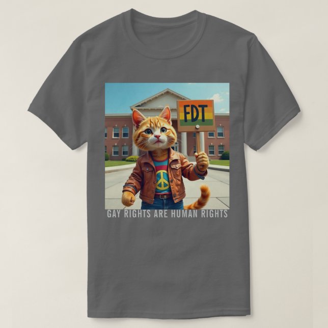 CAMISETA POLÍTICA DE DIREITOS DO FDT GAY (Frente do Design)