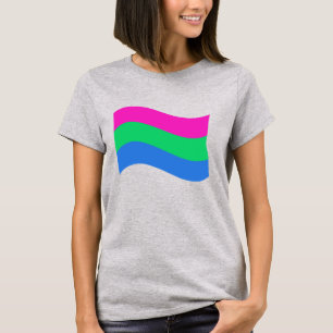 Camiseta Poly Pride