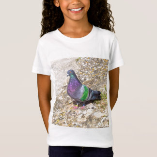 Camiseta Pombo
