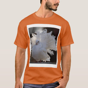 Camiseta Pombo 16