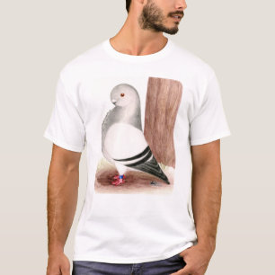 Camiseta Pombo africano azul da coruja