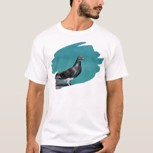 Camiseta Pombo Com Uma Vista