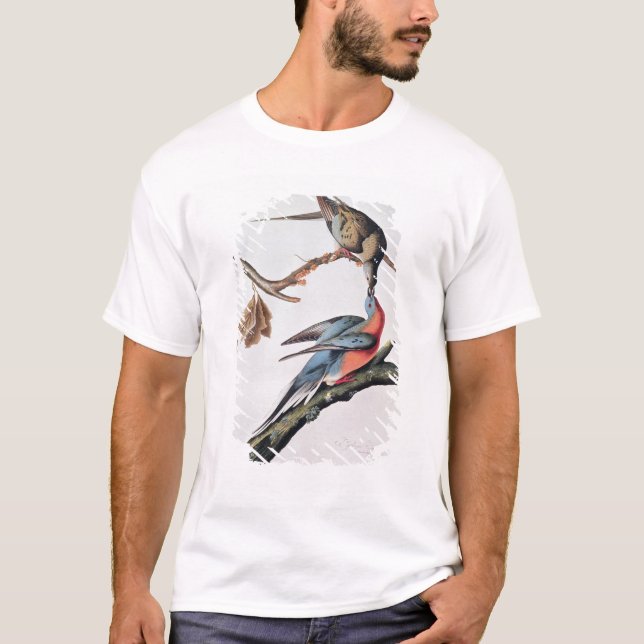 Camiseta Pombo de passageiro, 'dos pássaros de America (Frente)