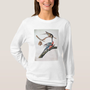 Camiseta Pombo de passageiro, 'dos pássaros de America