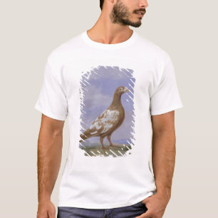 Camiseta Pombo de portador Pied vermelho (óleo em canvas)
