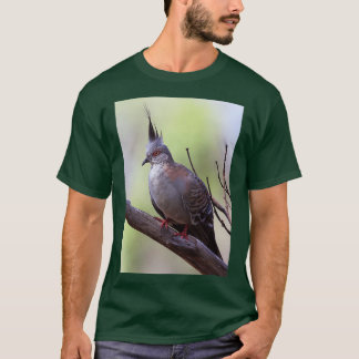 Camiseta Pombo-dorso 15
