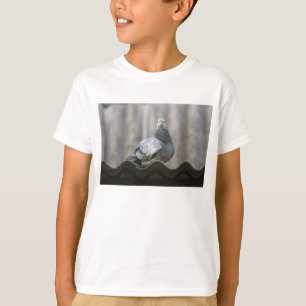 Camiseta Pombo no telhado.