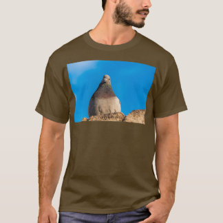 Camiseta Pombo sentado numa parede de pedra