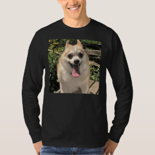 Camiseta Pomerânia Chihuahua Pomsky Grande Sorriso Puppy
