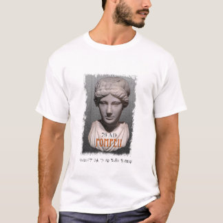 Camiseta Pompeii