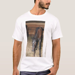 Camiseta Pônei/Cavalo