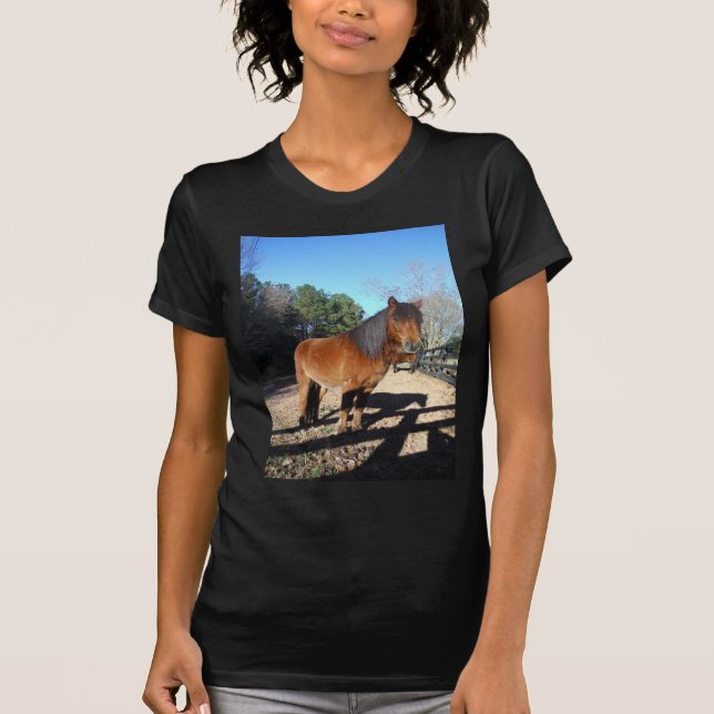 Camiseta Pônei marrom céu turquesa (Frente)