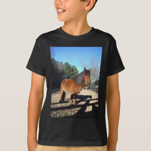 Camiseta Pônei marrom céu turquesa