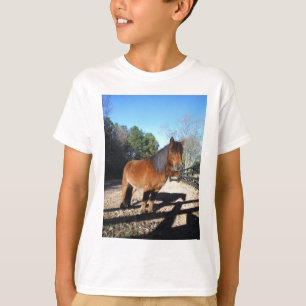 Camiseta Pônei marrom céu turquesa