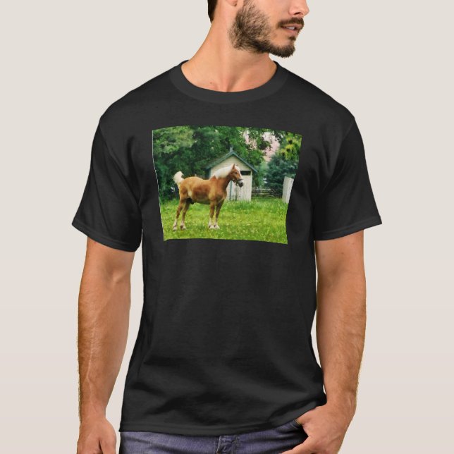 Camiseta Pônei Palomino no Pasto (Frente)