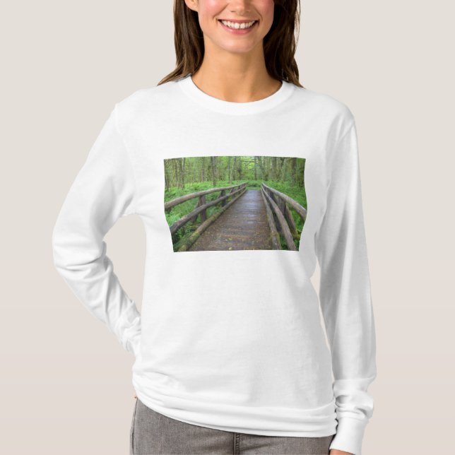 Camiseta ponte de madeira Maple Glade trail, samambaias e (Frente)