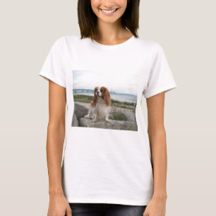 Camiseta Ponte descuidado Michigan de Blenheim Mackinaw