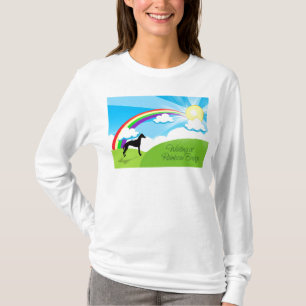 Camiseta Ponte do arco-íris