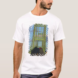 Camiseta Ponte pênsil para Little Deer Isle