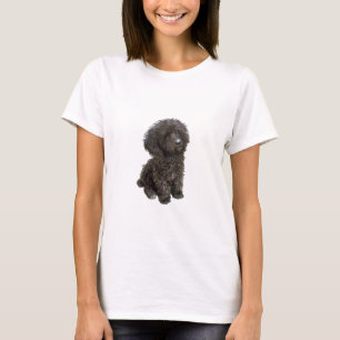 Camiseta Poodle - pup de brinquedo preto