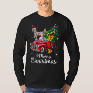 Camiseta Poodle Rides Redss Caminhão Natal Pajama