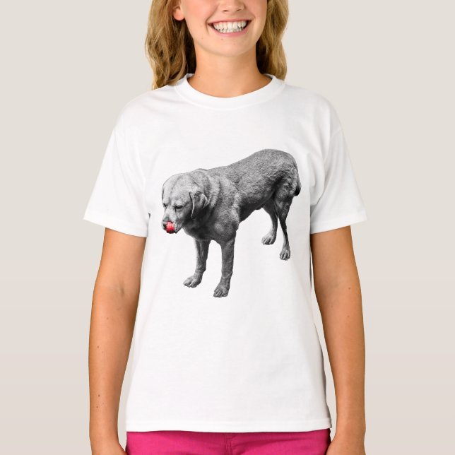 Camiseta Pop de Reprodução (Frente)