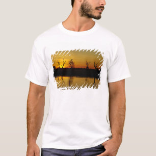Camiseta Pôr do sol, Billabong Yellow Water