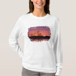 Camiseta Pôr do sol brilhante reflete no rio Calamus
