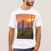 Pôr do sol no cacto do deserto, Arizona