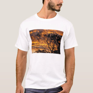 Camiseta Pôr do sol, Parque Nacional Uluru-Kata Tjuta,