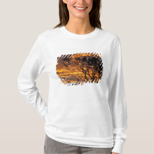 Camiseta Pôr do sol, Parque Nacional Uluru-Kata Tjuta,