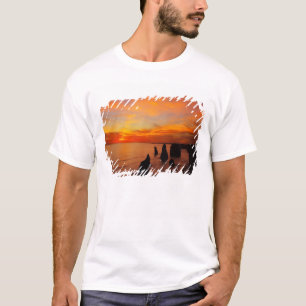 Camiseta Pôr do sol, Twelve Apostles, Parque Nacional Port