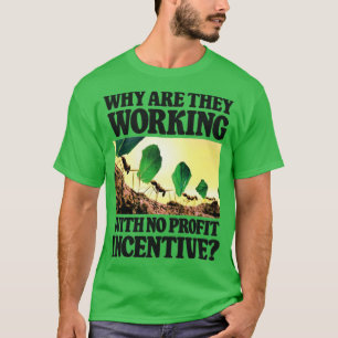 Camiseta Por Que Eles Estão Trabalhando Sem Financiamento D