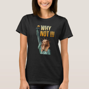 Camiseta Por Que Não Legal Estátua Da Liberdade Esfinge?