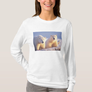 Camiseta Porca do urso polar com o filhote em um gelo de