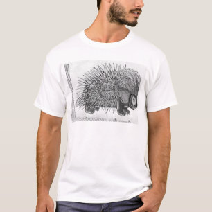 Camiseta Porco-, 'de Historia Animalium